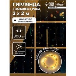 Гирлянда «Занавес» 2 × 2 м роса, IP20, серебристая нить, 300 LED, свечение тёплое белое, 12 В