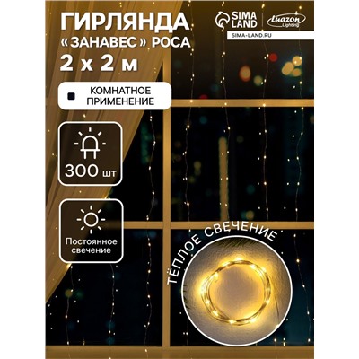 Гирлянда «Занавес» 2 × 2 м роса, IP20, серебристая нить, 300 LED, свечение тёплое белое, 12 В