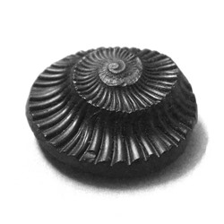 Камень Вишну Шалиграм (2 дюйма), Vishnu Shaligram Stone, произв. Abhimantrit