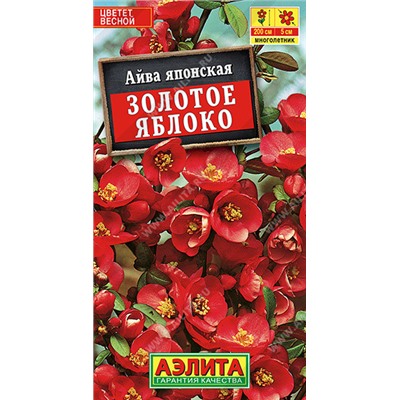 1044 Айва японская Золотое яблоко 10шт
