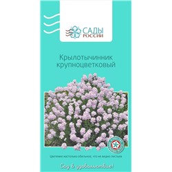 Семена Крылотычинник крупноцветковый , арт.: 25193