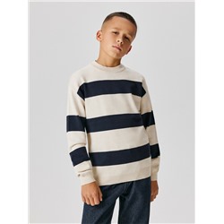 Джемпер детский для мальчиков Leon