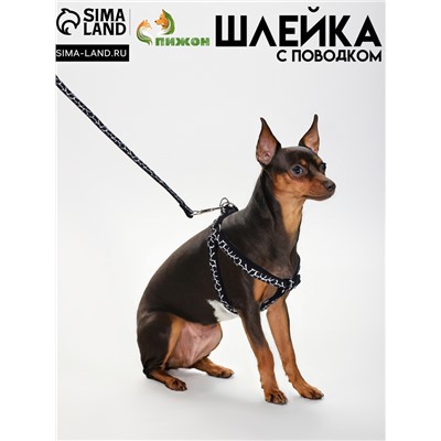 Комплект прошитый "Жираф", ширина 1 см, поводок 120 см, шлейка 23-35 см, чёрно-белый