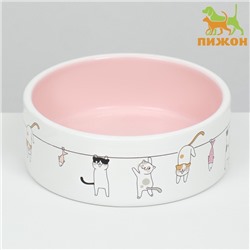 Миска керамическая "Весёлые котики",12,5 x 4,5 cм, 300 мл, белая/розовая
