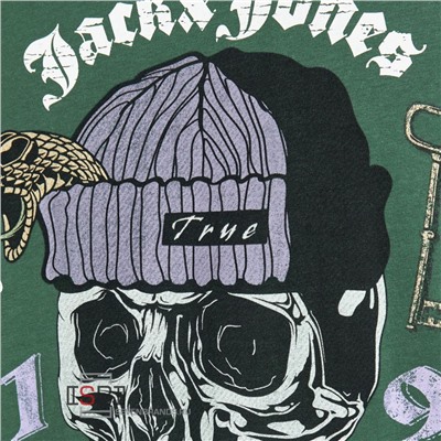 JACK&JONES, 12205684, Футболка