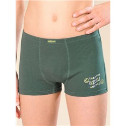 Трусы для мальчика, Pelican, BUHB3340-2 оптом