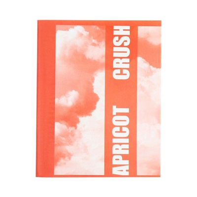 Тетрадь 96 листов в клетку Calligrata Apricot Crush, обложка мелованный картон, глянцевая ламинация, блок офсет МИКС