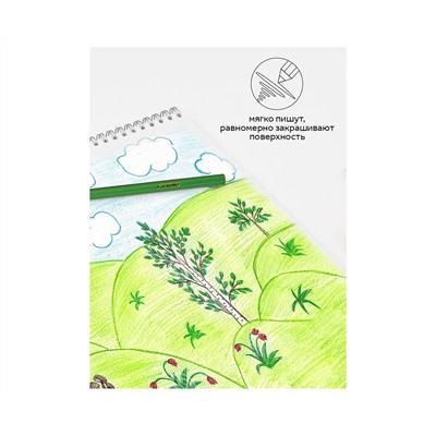 Карандаши цветные Гамма "Классические", 24цв., заточен., картон. упаковка, европодвес