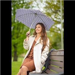 L501-4123 SidneySquirrel (Белки) Зонт женский механика Fulton