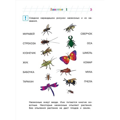 Уценка. В. А. Егупова. Изучаю мир вокруг: для детей 5-6 лет. Ч. 2