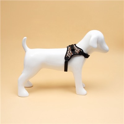 Шлейка К7 мягкая светоотражающая, размер М, ОГ 52-66 см, вес 9.5-17.5 кг, леопард