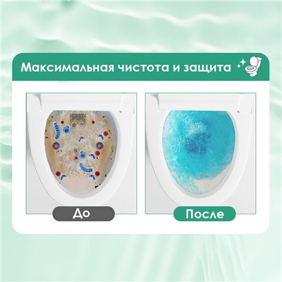 Таблетки очищающие для сливного бачка унитаза ГАРДЕНИЯ, набор 4 шт. по 50 гр.