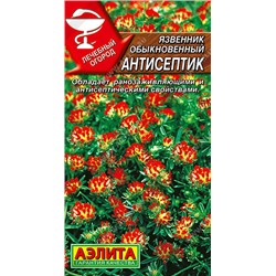 1008 Язвенник Антисептик 0,2гр