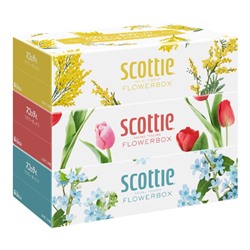 Салфетки двухслойные, Scottie Flowerbox, Crecia, 250 шт. х 3 коробки