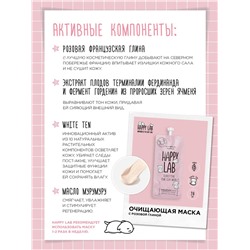 Happy Lab Набор средств для ухода за кожей лица Dream Face: Мицеллярная вода, гель для умывания, очищающая маска, 300 мл, 200 мл x 2