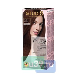 Ultima Color Studio Профешнл Стойкая крем-краска для волос 4.01 Каштан, 50/50