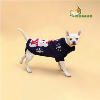 Свитер для животных, размер 12 (ДС 28-31, ОГ 32-40, ОШ 20-24 см), синий