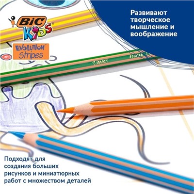 Карандаши цветные 12 цветов, BIC «Kids Evolution Stripes», пластиковые, детские