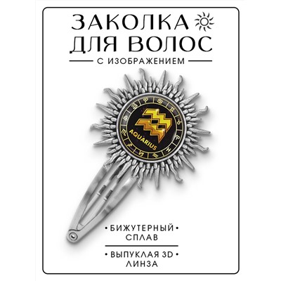 HZG-0034 Заколка Знаки Зодиака - Водолей