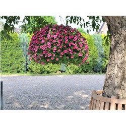 Набор калибрахоа №2