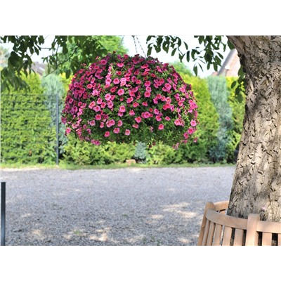 Набор калибрахоа №2