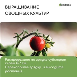 Субстрат кокосовый, универсальный, для террариумов и растений, в брикете, 65 л, 30% чипсы и 70% торф, Greengo