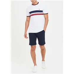 Big & Tall Stripe Crew Neck T-Shirt