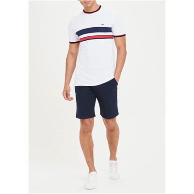 Big & Tall Stripe Crew Neck T-Shirt