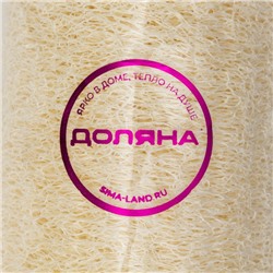 Мочалка для тела натуральная Доляна, 10.5×6×6 см, бежевая