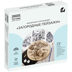 Набор для выжигания на спиле дерева ТРИ СОВЫ "Красота природы", диаметр 15см, картонная коробка