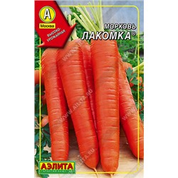 0247 Морковь Лакомка 300шт
