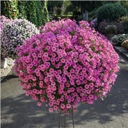 Набор супертуний №1