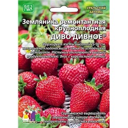 Семена Земляника (клубника) Диво дивное ремонтантная, арт.: 9067