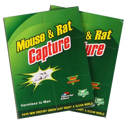 Protecta Клеевая ловушка от крыс и мышей виде книжки Mouse & Rat