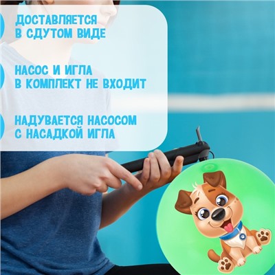 Мяч детский «Пёсик» 22 см, 60 г, цвета микс