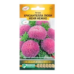 Семена Цветов Астра китайская Хризантелла Люби меня Нежно, 5 шт