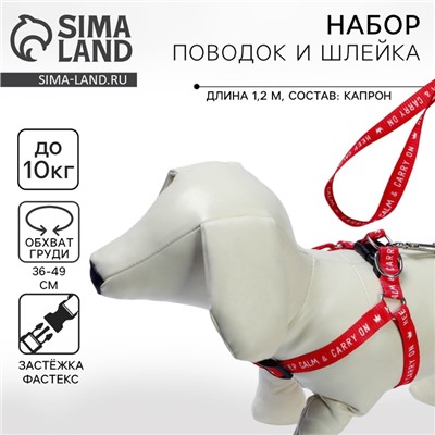 Поводок Keep calm & carry on 120×1.5 см, шлейка 36-49 см