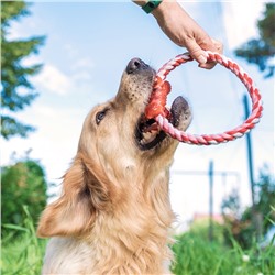 Игрушка тренировочная канатная «Круг с косточкой», до 100 г, микс цветов