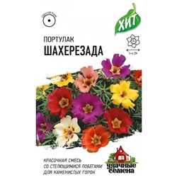 Семена Портулак Шахерезада, арт.: 73847
