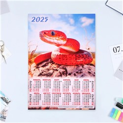 Календарь настенный 2025 год, листовой А3 30×42 см