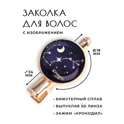 HZF-0312 Заколка Знаки Зодиака - Скорпион