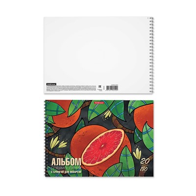 Альбом для рисования А4, 20 листов на спирали, ErichKrause Juicy Fruits, блок 120 г/м², 100% белизна, перфорация для отрыва, твёрдая подложка, МИКС