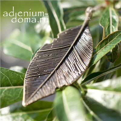 Подвеска большая ЛИСТ С ПРОЖИЛКАМИ бронза (Folium)