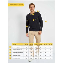Джемпер тонкий из шерсти мериноса мужской, арт. 0523