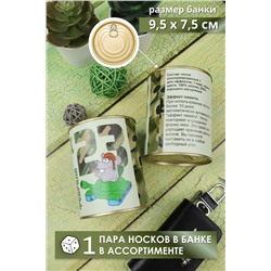 Носки мужские в банке GL735