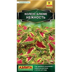 Колеус блюме Нежность, арт.: 71334