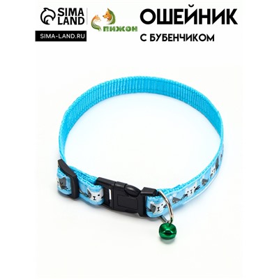 Ошейник "Котята", 40 х 1,5 см, голубой