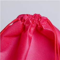 Мешок для обуви «Единокот» непромокаемое полотно 41×30 см