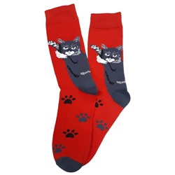 31579 В мире животных | Носки "Котик. Лапки. Цапцарапки", р-р 38-44 (серый/красный)