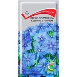 Семена Флокс Друммонда Красотка в голубом, арт.: 4940